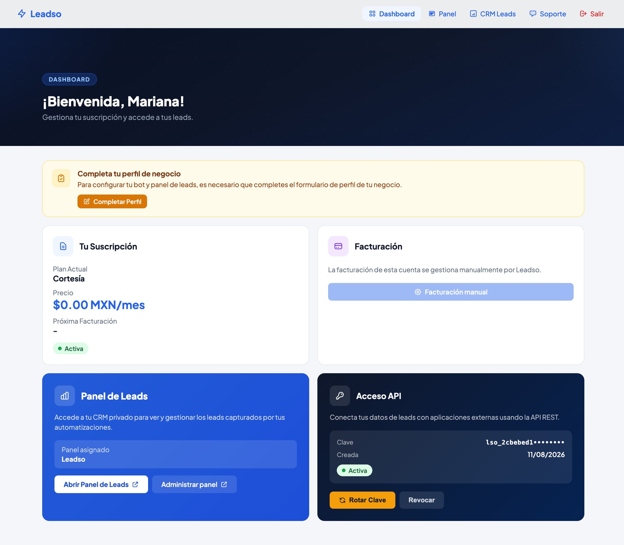 Leadso customer dashboard for Mariana with subscription, billing, CRM, support, and API access